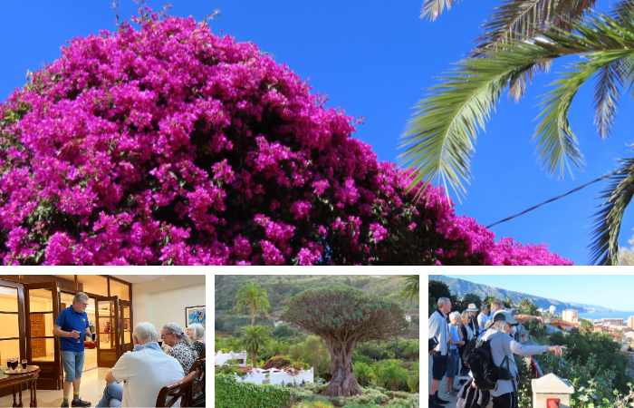 Rejsedagbog fra vintervarme Tenerife